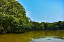 Sundarban, India