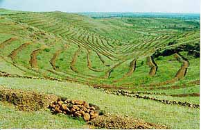 ಜಲಜಾಗೃತಿ(1) ನೀರಿಂಗಿಸೋಣ, ನಿಮ್ಮ ಮನದಲ್ಲೊಂದಿಷ್ಟು ಜಾಗ ಕೊಡಿ!