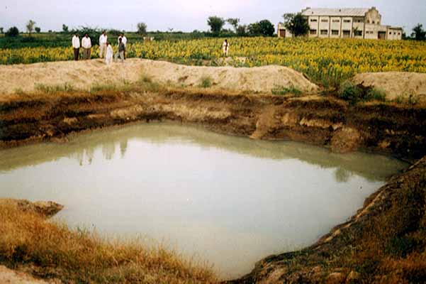 ಜಲಜಾಗೃತಿ(7) ಮಳೆ ನೀರಿಂಗಿಸಿ, ತೋಟ ಮಾತ್ರವಲ್ಲ, ಜೀವ ಉಳಿಸಿ