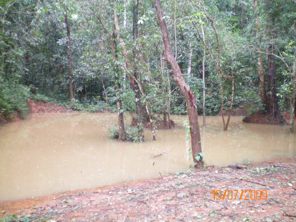 ಜಲಜಾಗೃತಿ(31) ಗುಡ್ಡದಲ್ಲಿ ಮಳೆನೀರಿಂಗಿಸಿದರೆ ತೋಟಕ್ಕೆ ಲಾಭ