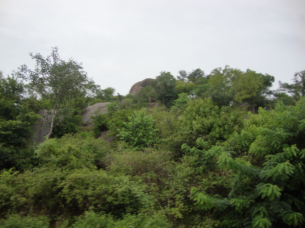 ಸೊಪ್ಪಿನ ಬೆಟ್ಟಗಳ ಕಥನ