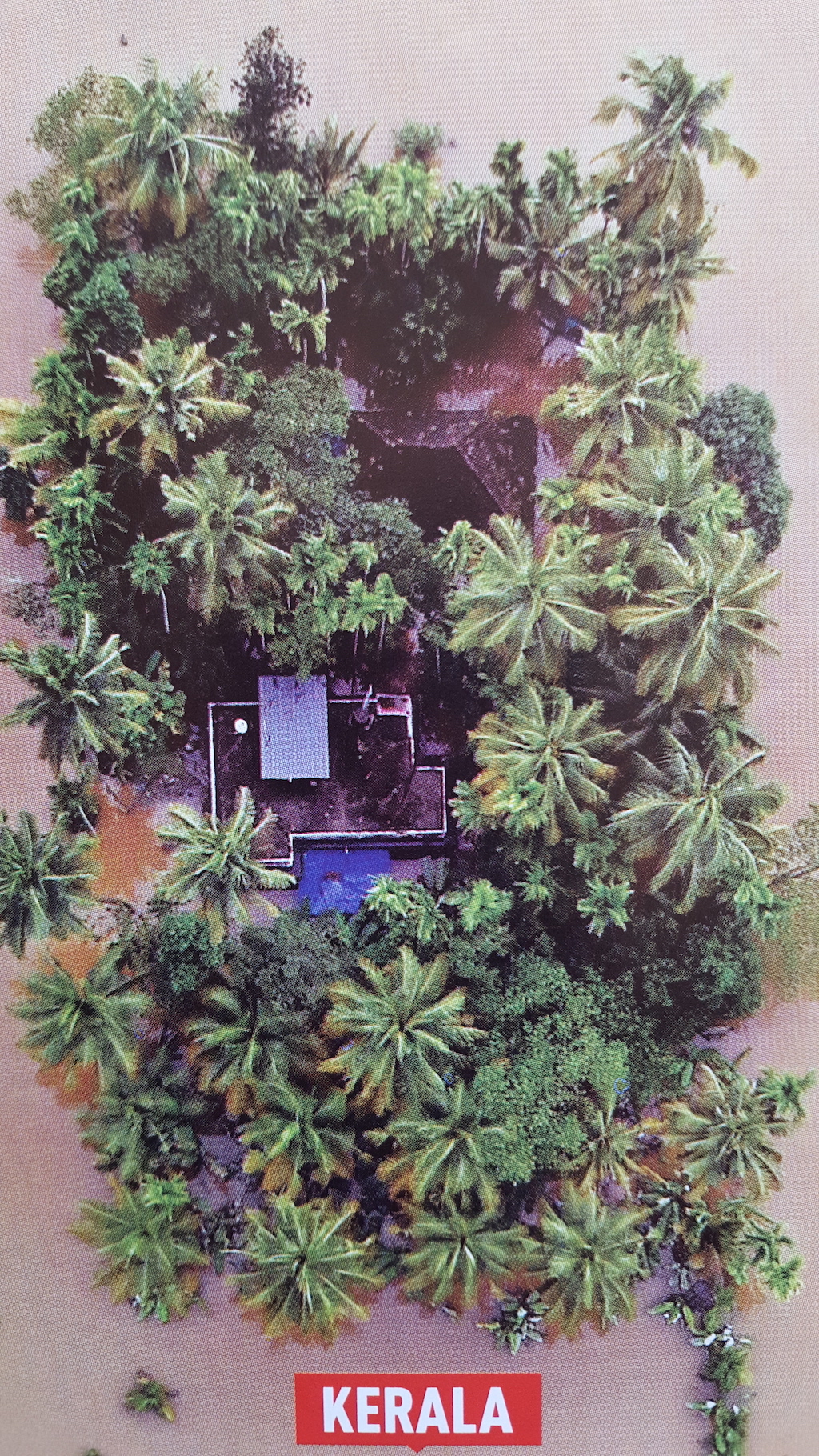 Flood of the Century and its Effect on Agricultural Lands and Plantation Valuation