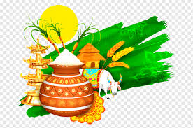 ಸಂಕ್ರಾಂತಿ: ಬದುಕಿನ ಹೊಸದಾರಿಗೆ ಬೆಳಕಾಗಲಿ