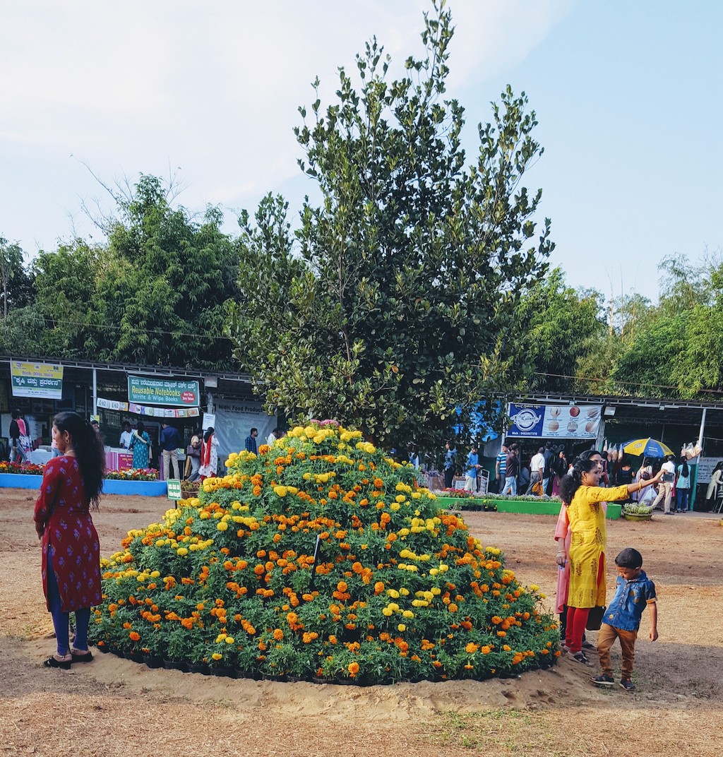 ಕದ್ರಿ ಉದ್ಯಾನದಲ್ಲಿ ಫಲಪುಷ್ಪ ಪ್ರದರ್ಶನ