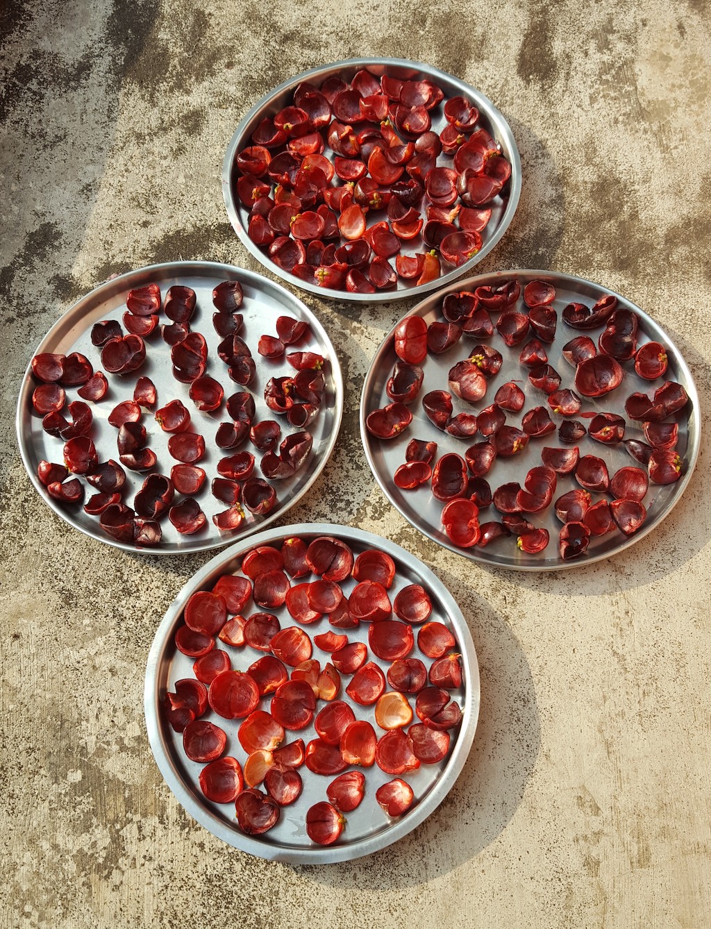 ದಿನದಿನವೂ ಭೂತಾಯಿಗೆ ಶರಣು