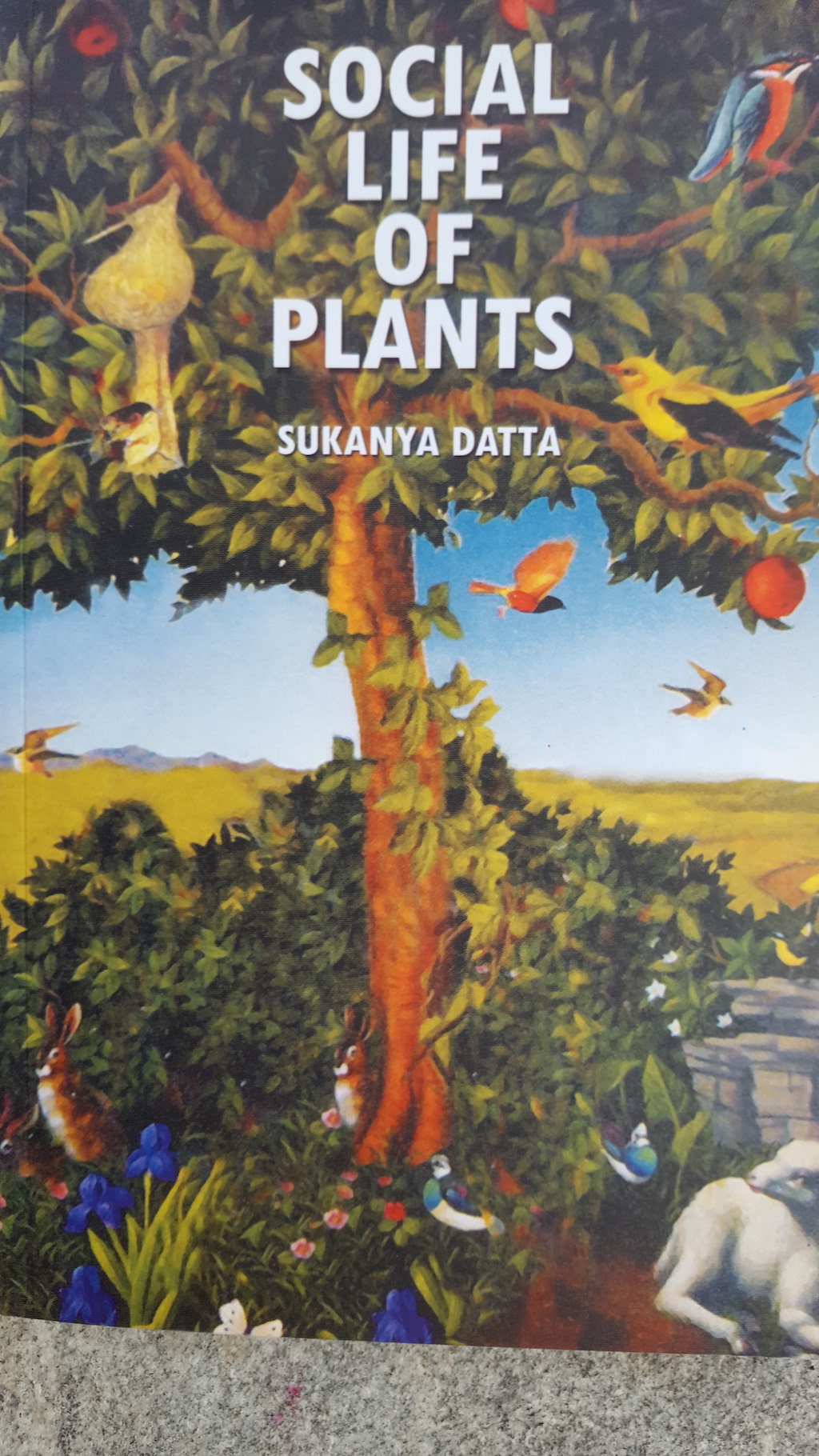 Book: Social Life of Plants
