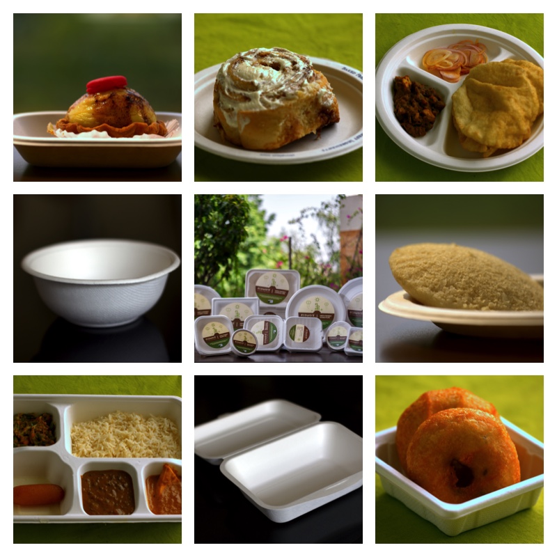 ತಟ್ಟೆ, ಲೋಟ ತಯಾರಿಗೆ ಹುಲ್ಲು, ನಾರು ಸೈ 