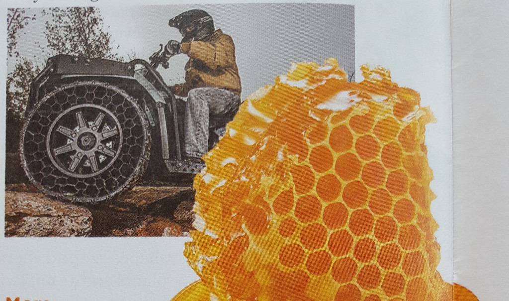 ಪ್ರಕೃತಿ: ಆವಿಷ್ಕಾರಗಳಿಗೆ ಸ್ಫೂರ್ತಿ