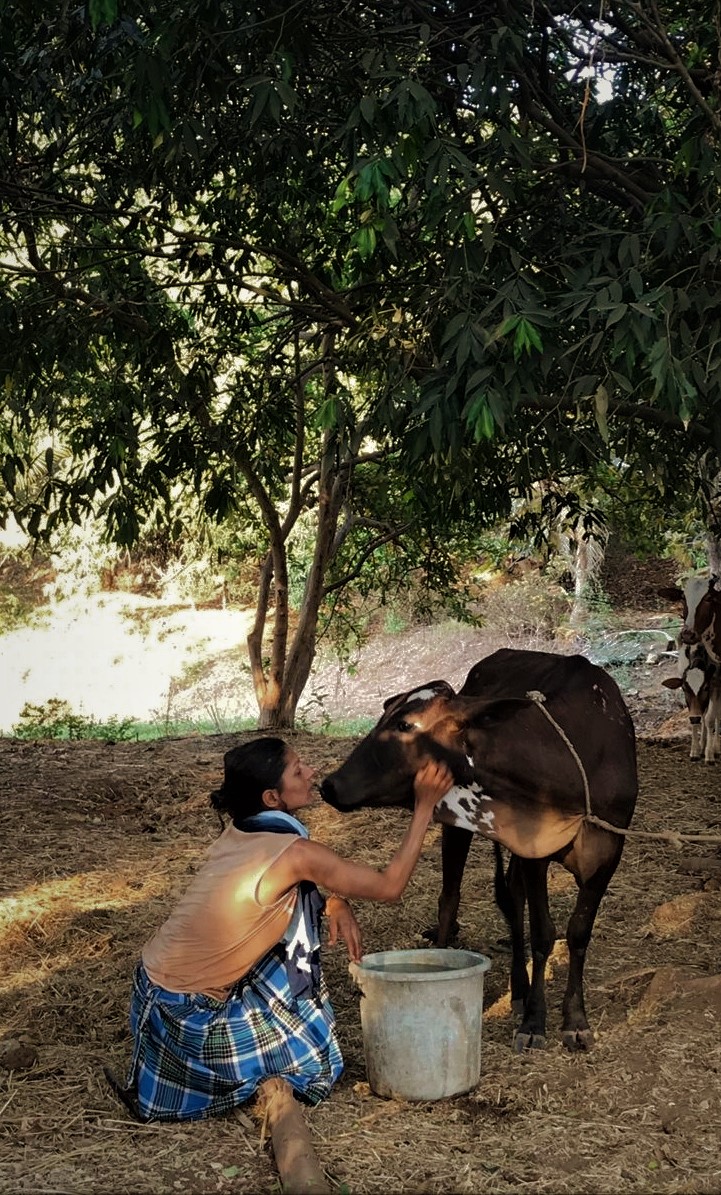  "ನಮ್ಮ ಅಜ್ಜಿಗೆ ಒಪ್ಪಿಗೆ ಆದೀತೇ ನಮ್ಮ ಆಹಾರ?” ಗಾಯತ್ರಿ ಭಾಟಿಯಾರ ಪ್ರಶ್ನೆ 