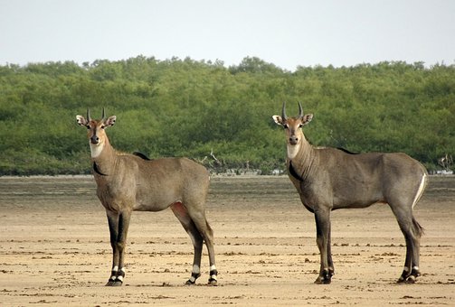 ನಮ್ಮ ಹೆಮ್ಮೆಯ ಭಾರತ (ಭಾಗ 33 - 34) 