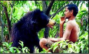 ಕರಡಿ ಬದುಕಿಸಿದಾತನಿಗೆ ಜೈಲಿನಲ್ಲಿ ಬಂಧನ!