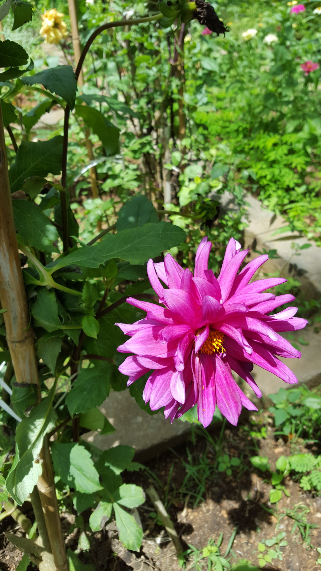 ಕಗ್ಗ ದರ್ಶನ – 2