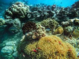 ಹೀಗೂ ಉಂಟೇ! ದ್ರವಗಳ ಸಂಗತಿ (ಭಾಗ 3)