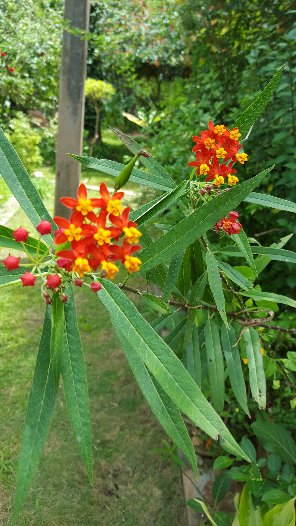 ಕಗ್ಗ ದರ್ಶನ – 4