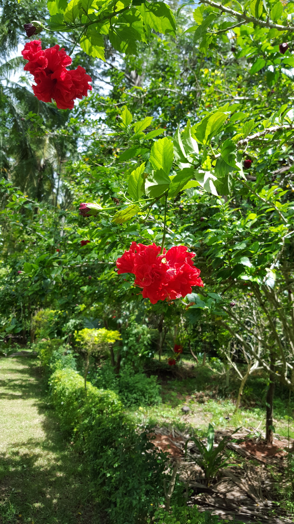 ಕಗ್ಗ ದರ್ಶನ – 5