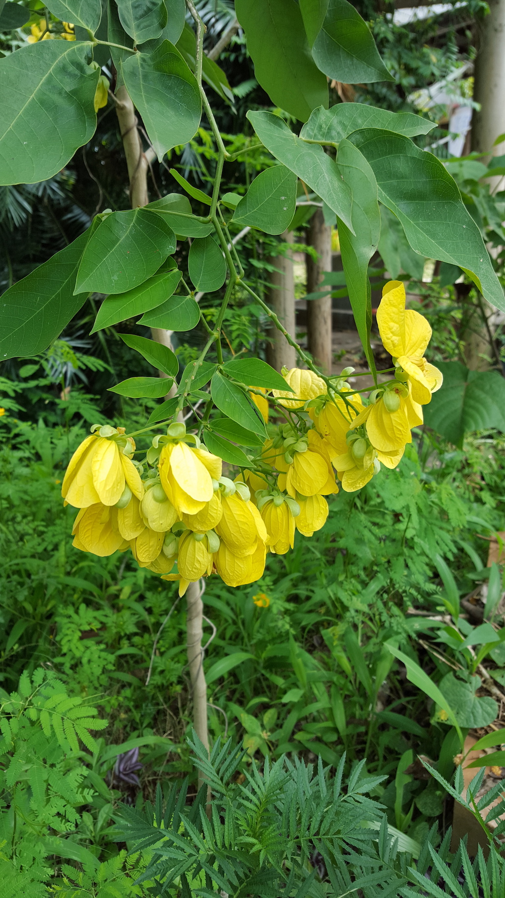 ಕಗ್ಗ ದರ್ಶನ – 6