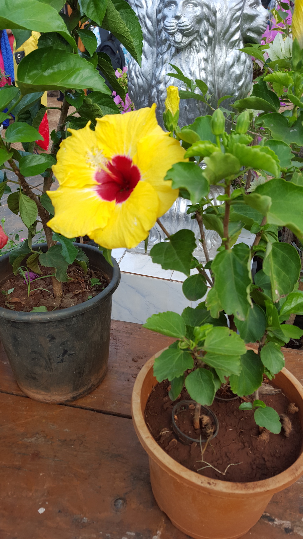 ಕಗ್ಗ ದರ್ಶನ – 8