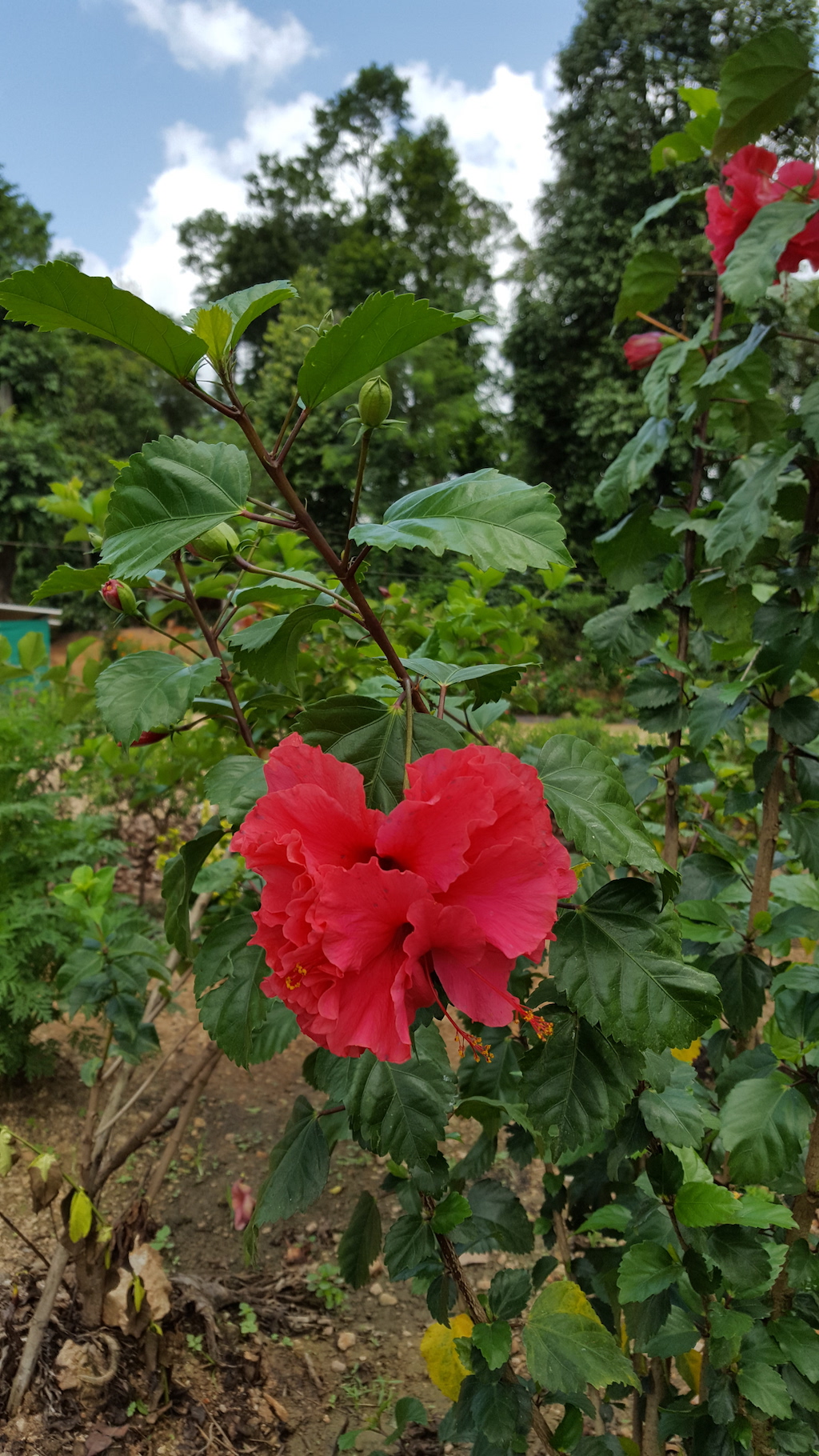 ಕಗ್ಗ ದರ್ಶನ – 13