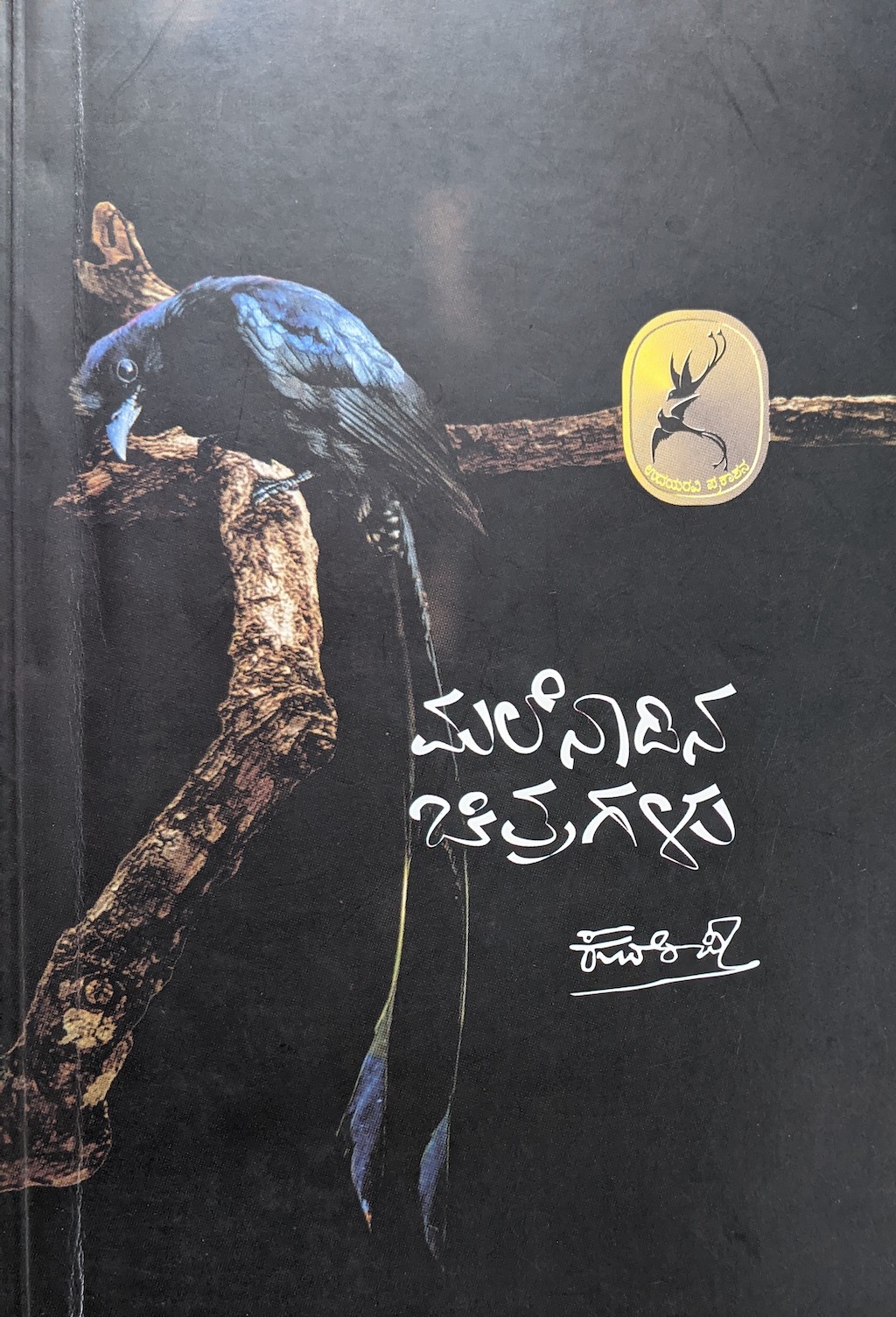 ಪರಿಚಯ25: ಮಲೆನಾಡಿನ ಚಿತ್ರಗಳು