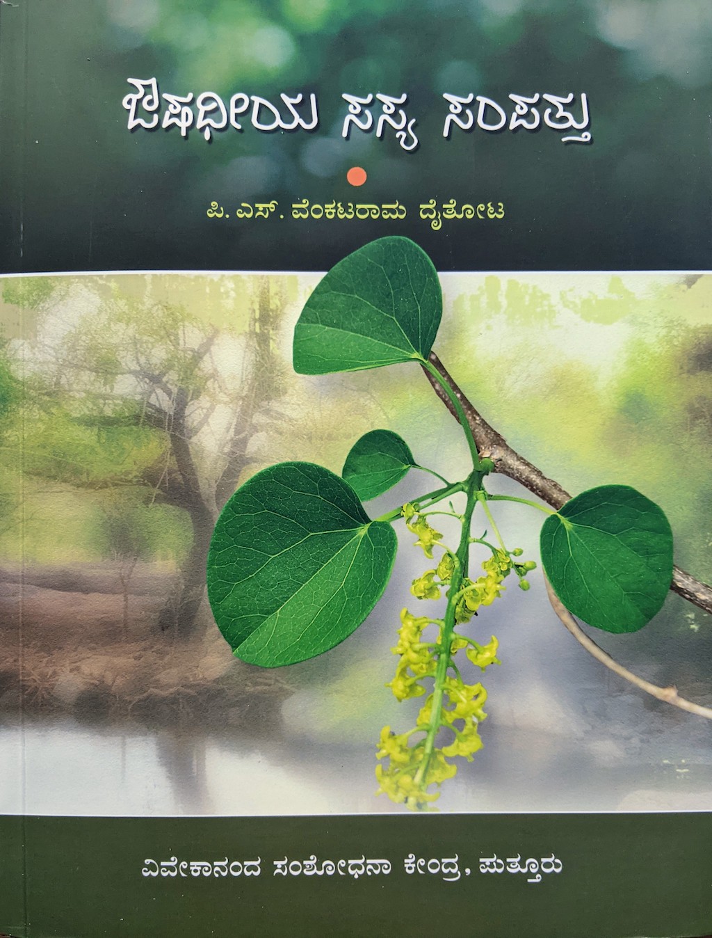 ಪರಿಚಯ33: ಔಷಧೀಯ ಸಸ್ಯ ಸಂಪತ್ತು 