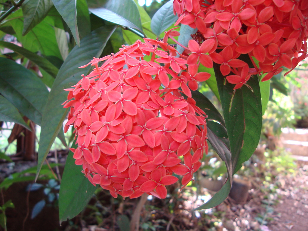 ಕಗ್ಗ ದರ್ಶನ – 19