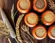  ಬರನಿರೋಧ ಸಿರಿಧಾನ್ಯಗಳ ಸಿರಿತನ