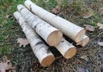 ಹಕ್ಕು ಹೋರಾಟ 7: ರಾಜೀವಿ ಬಿ. ಶೆಟ್ಟಿಯವರಿಗೆ ಪರ್ಮಿಟ್ ಸಿಕ್ಕಿತು