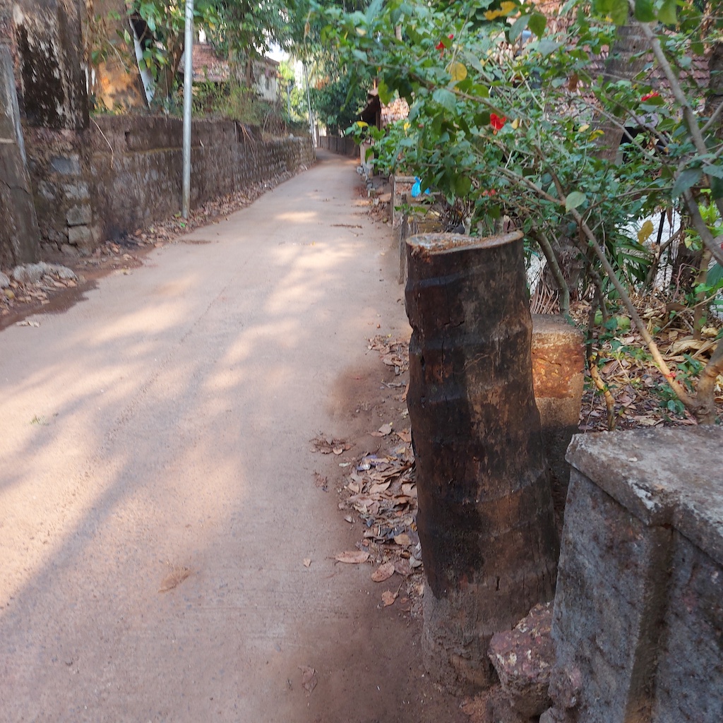 ಹಕ್ಕು ಹೋರಾಟ 18: ಹದಿನಾರು ವರ್ಷ ನಿರಂತರ ಹೋರಾಟ (ಆ) ಕೊನೆಗೂ ಮಾಡಿನ ಮೇಲೆ ಎರಗಿದ್ದ ತೆಂಗಿನ ಮರ ಕಡಿಸಿದರು