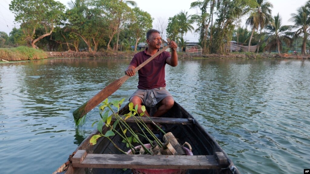 ಕೇರಳದ ಕಾಂಡ್ಲ ಕಾಡು ಉಳಿಸಲು ಬದುಕು ಮುಡಿಪಾಗಿಟ್ಟ ಮುರುಕೇಶನ್