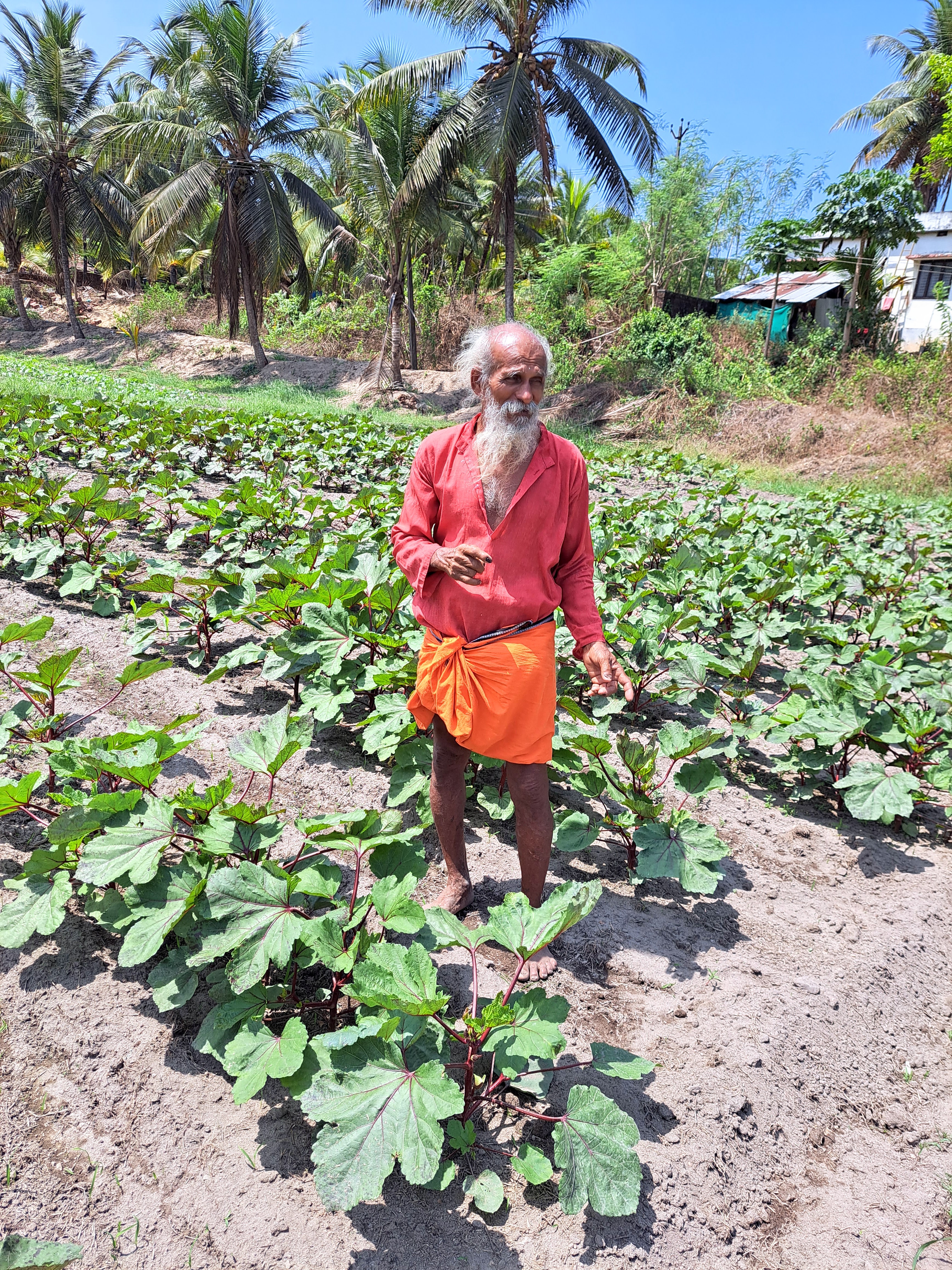 ಕೃಷಿ ಜೀವನೋಪಾಯ ಅಲ್ಲ, ನೆಮ್ಮದಿಯ ತಪಸ್ಸು