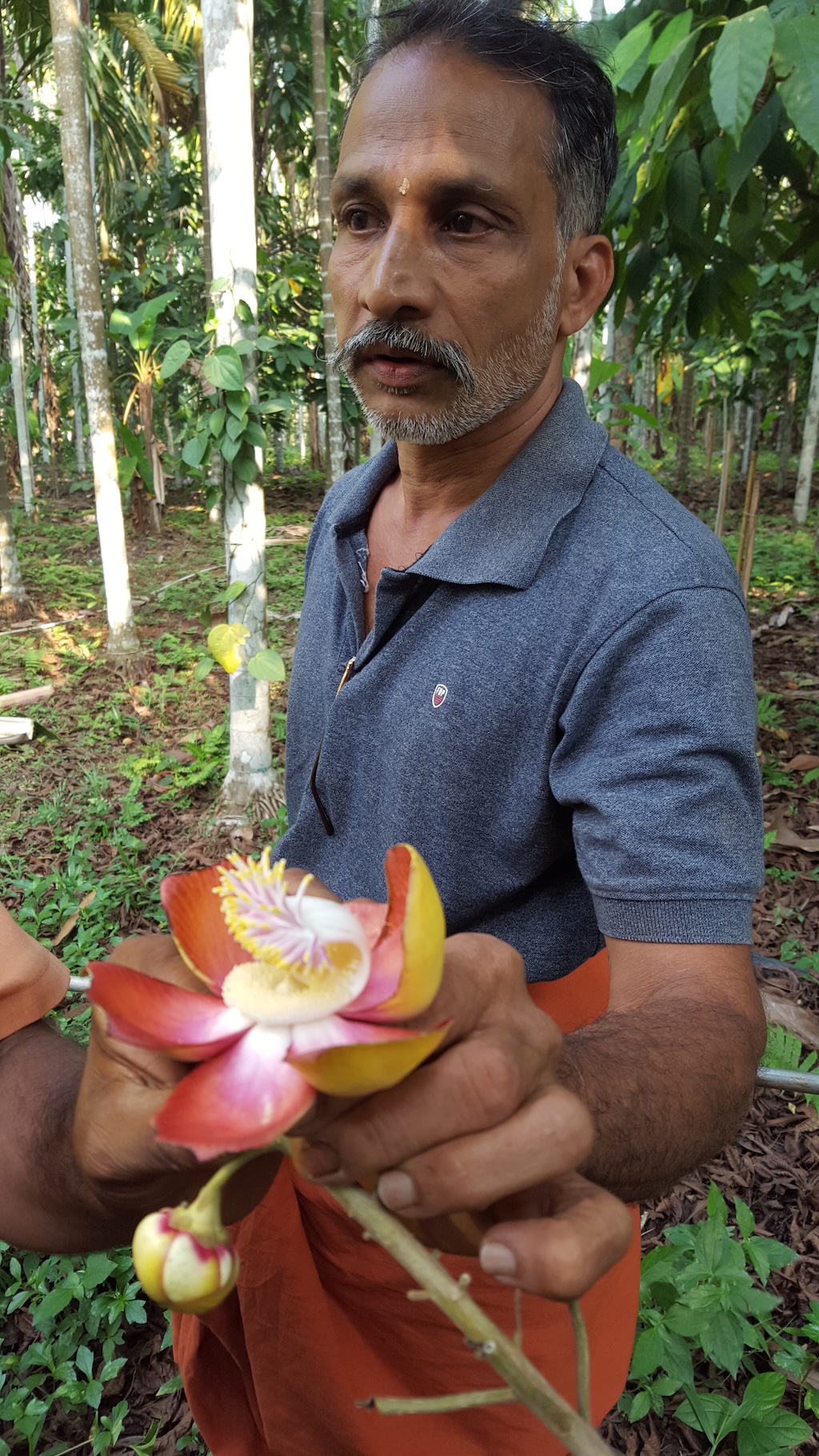 ಕೃಷಿ ಬದುಕಿನ ಖುಷಿಗೆ ಕೃಷಿಸಂಬಂಧಿ ಹವ್ಯಾಸಗಳು