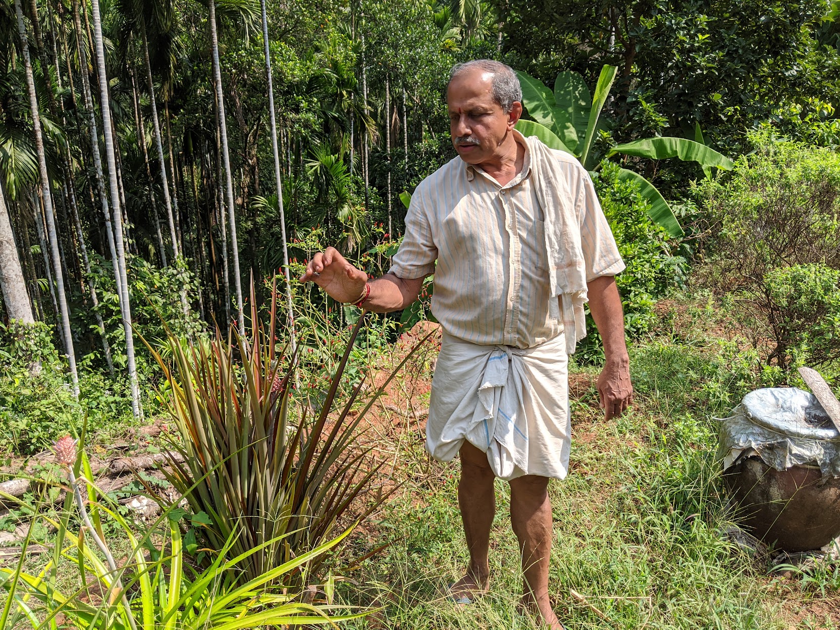 ತರಕಾರಿ ಕೃಷಿಯಲ್ಲಿ ಯಶಸ್ಸು ಹೇಗೆ: ಶಿವಪ್ರಸಾದ್ ವರ್ಮುಡಿಯವರ ಅನುಭವ  