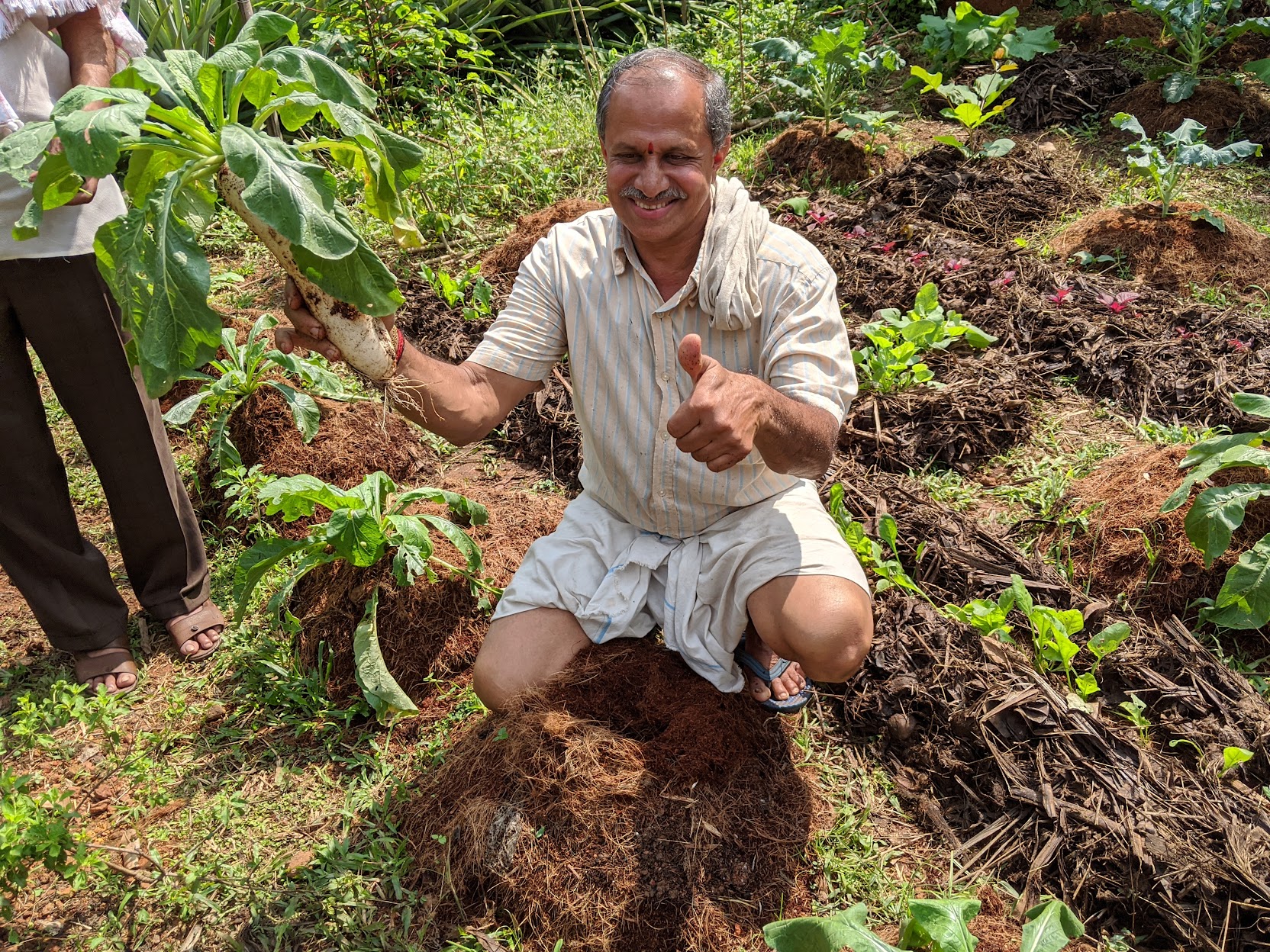 ಪಿ. ಶಿವಪ್ರಸಾದ ವರ್ಮುಡಿಯವರ ತರಕಾರಿ ಕೃಷಿ ಕ್ಯಾಲೆಂಡರ್