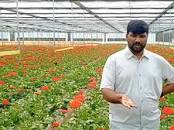 ಶ್ರೀಕಾಂತರ ಪುಷ್ಪ ಕೃಷಿ: ವಾರ್ಷಿಕ ರೂ.5 ಕೋಟಿ ಲಾಭ 